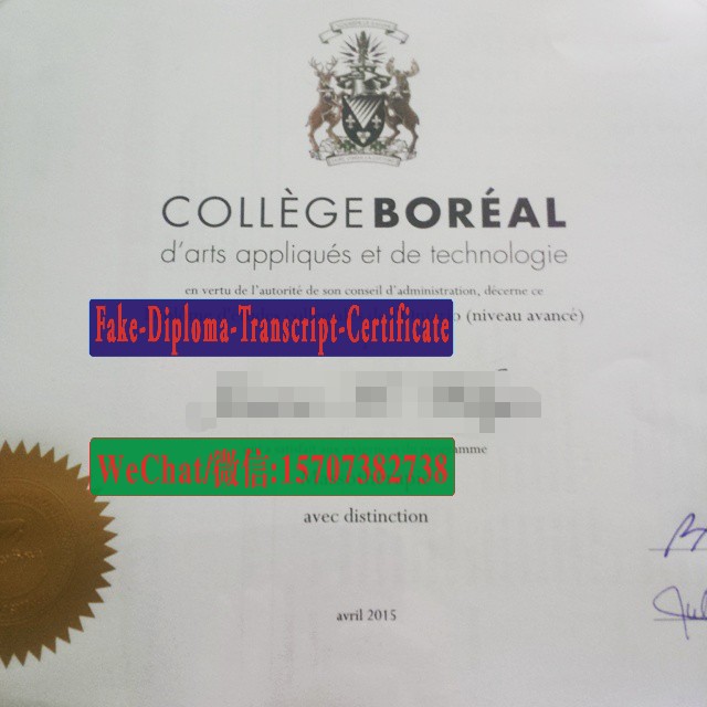 Buy fake Boreal College Diploma