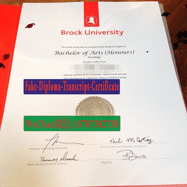 Buy fake Brock University Diploma