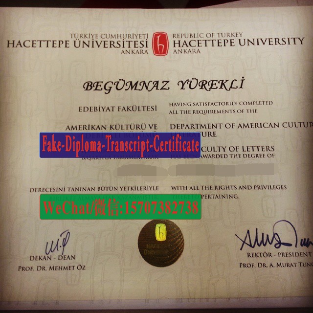 Fake Hacettepe University Diploma Transcript
