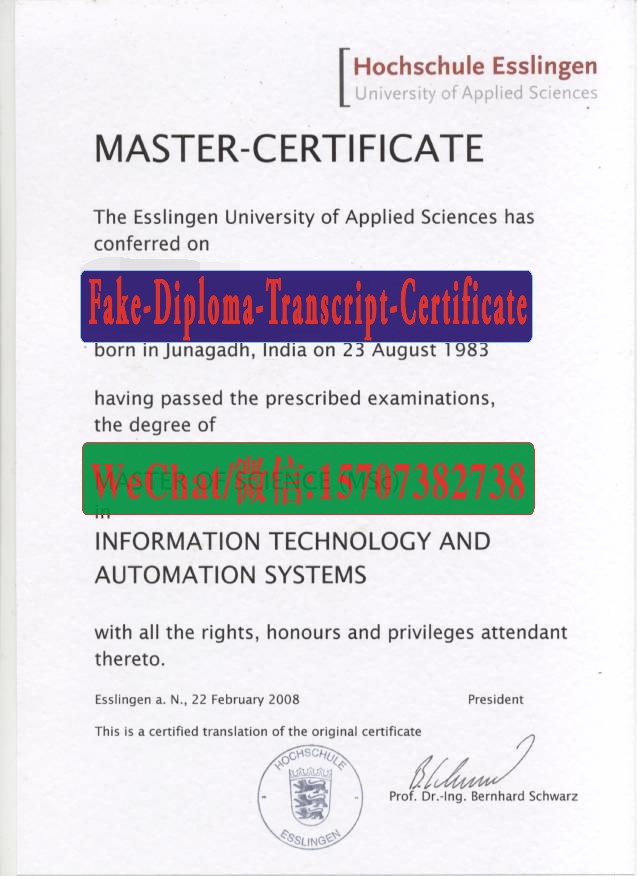 Fake Hochschule Esslingen Diploma Transcript