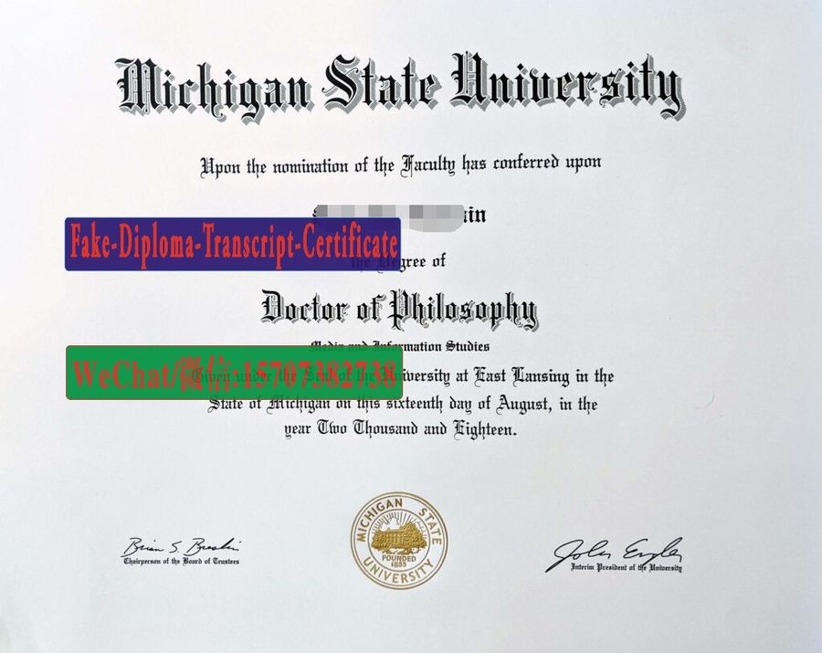 Fake Michigan State University Diploma Degree