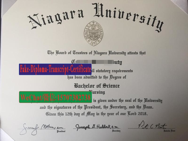 Fake Niagara University Diploma Degree