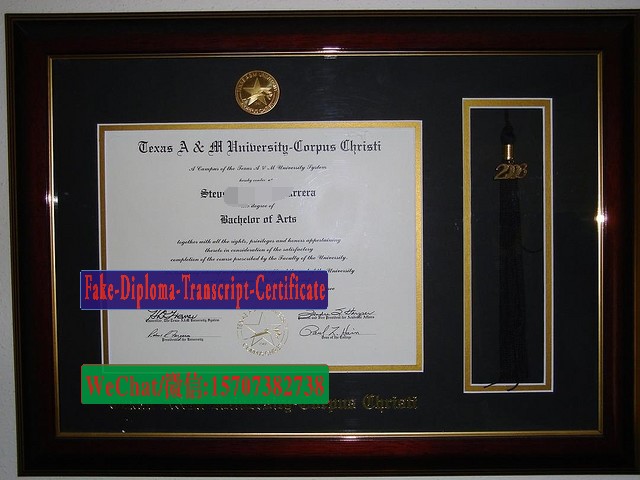Fake Texas AM University Corpus Christi Diploma Makers