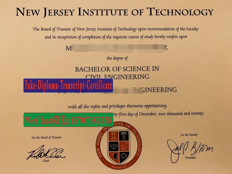 Fake new jersey Institute of technology Diploma Degree