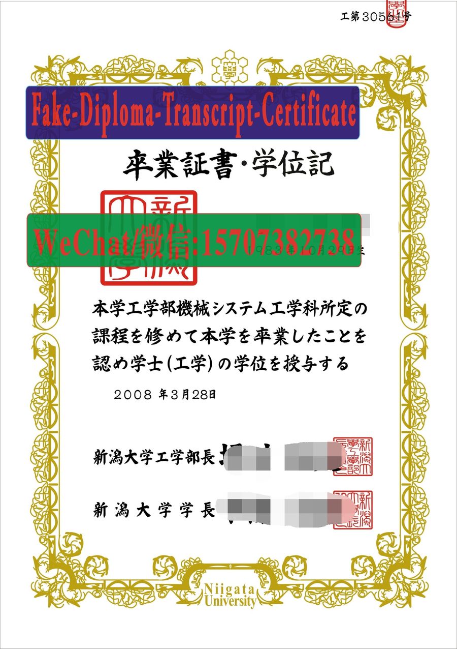 Niigata University Diploma Certificate