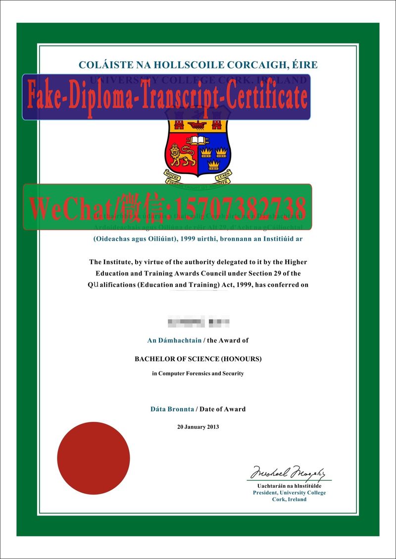 University College Cork Diploma Original Sample